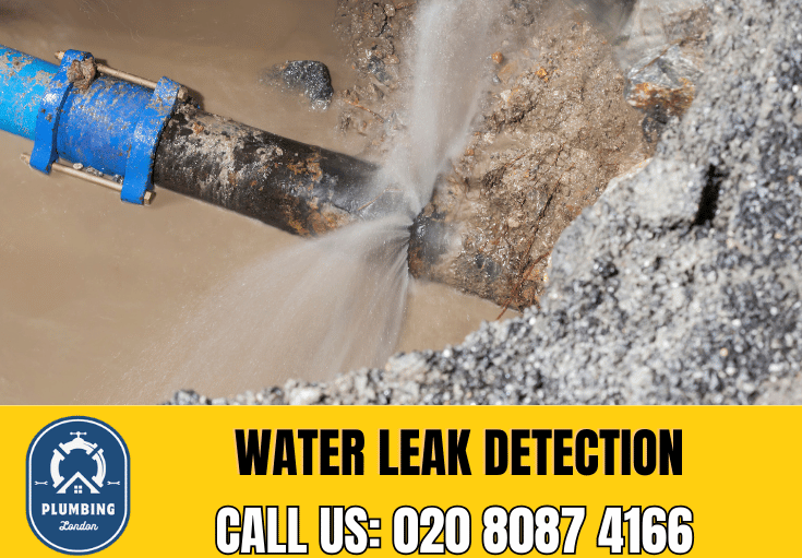 leak detection Greenford